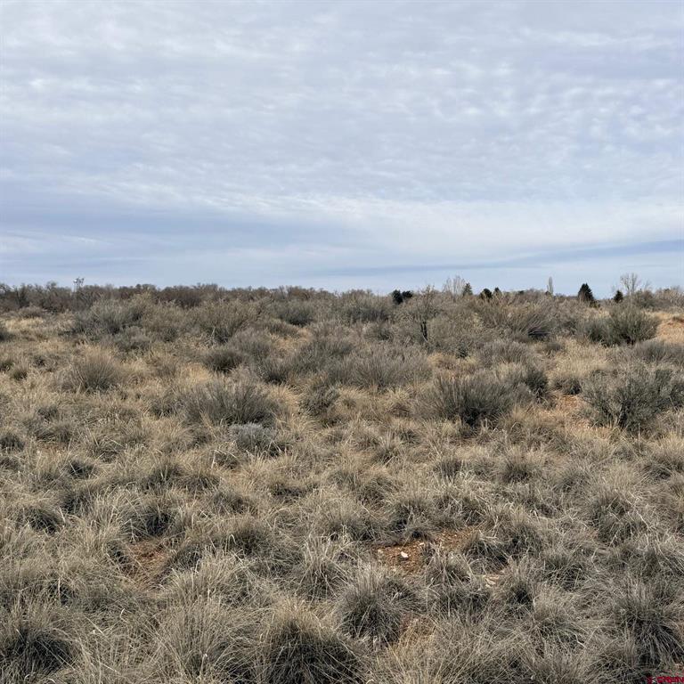Lot 130 Nicholette Way Cortez CO 81321