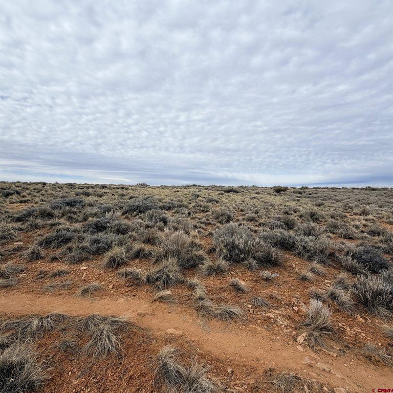 Lot 130 Nicholette Way Cortez CO 81321