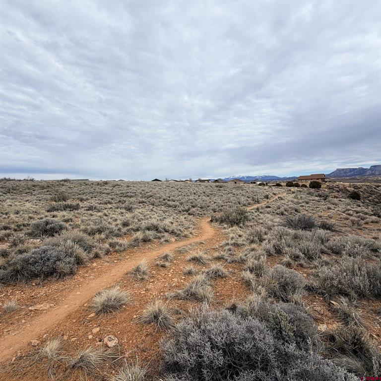 Lot 130 Nicholette Way Cortez CO 81321