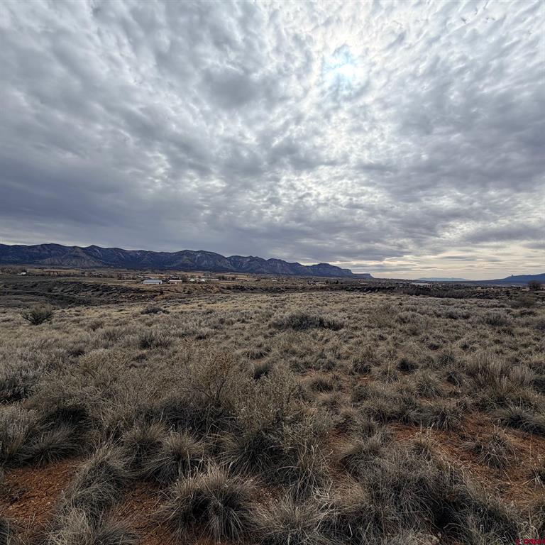 Lot 130 Nicholette Way Cortez CO 81321
