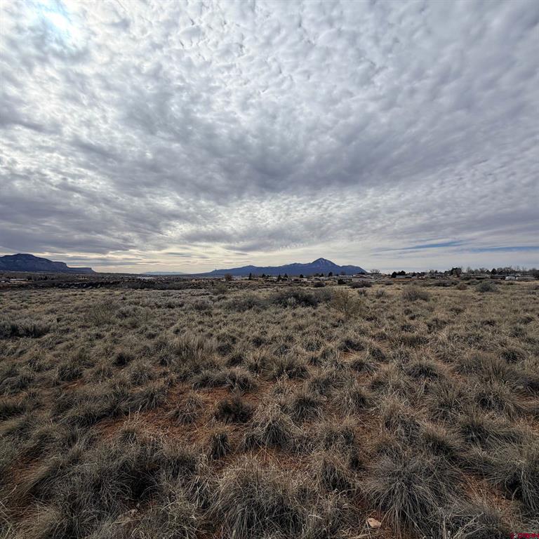 Lot 130 Nicholette Way Cortez CO 81321