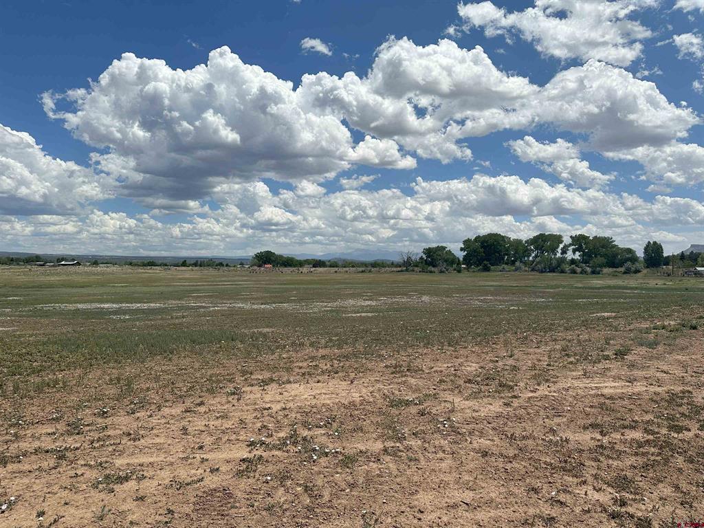 Tbd Aldridge Road Cortez CO 81321