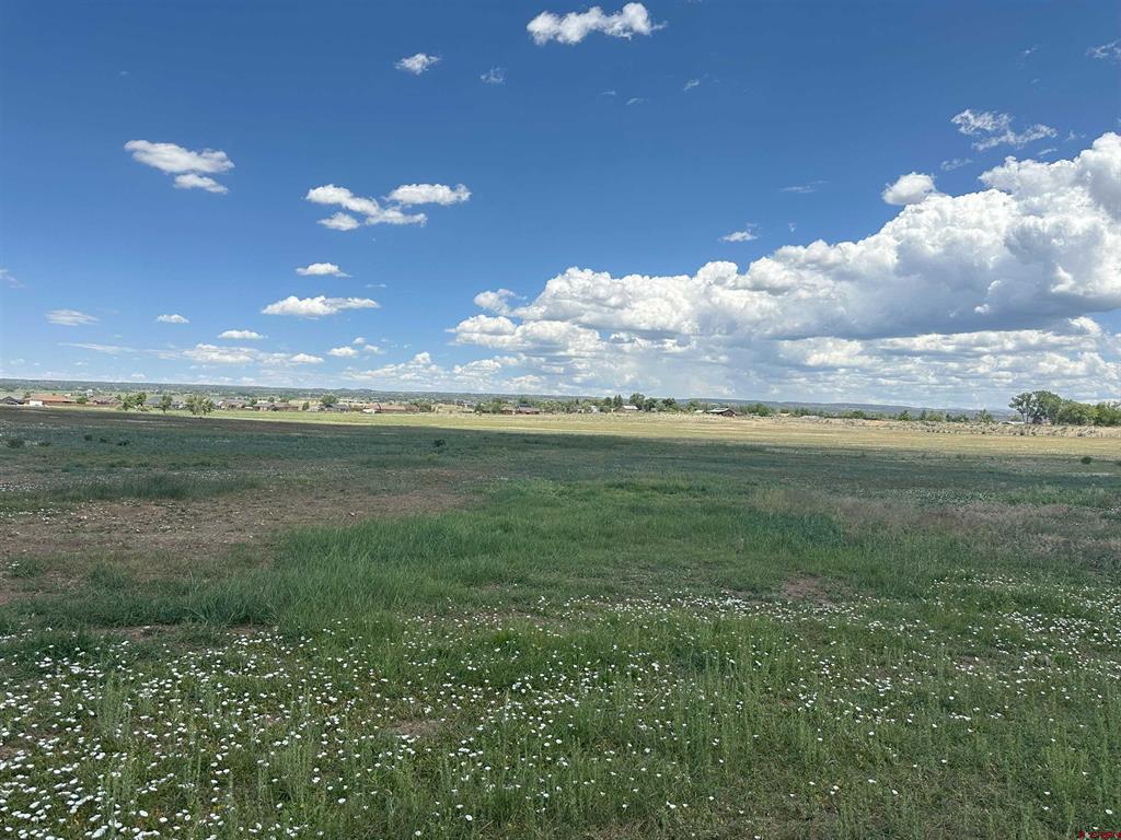 Tbd Aldridge Road Cortez CO 81321