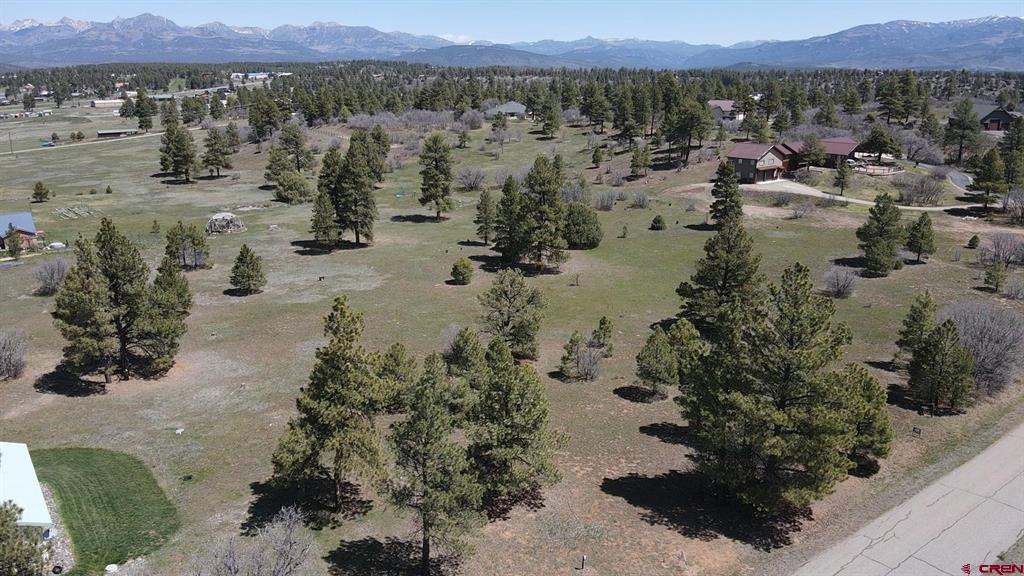 1570 Cool Pines Pagosa Springs CO 81147