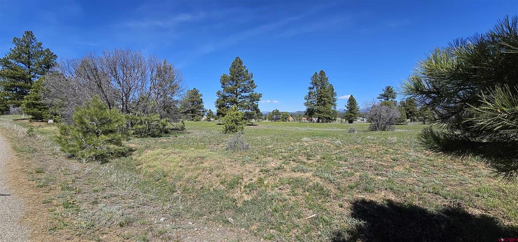 1570 Cool Pines Pagosa Springs CO 81147