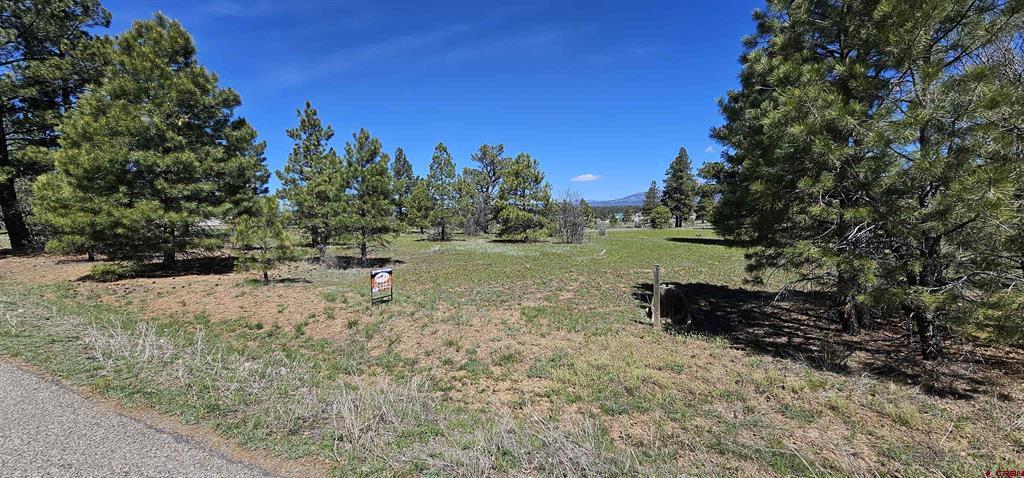 1570 Cool Pines Pagosa Springs CO 81147