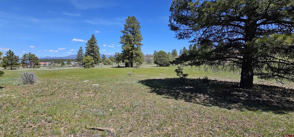 1570 Cool Pines Pagosa Springs CO 81147