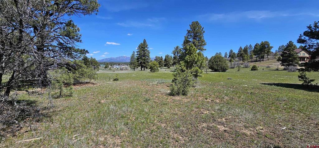 1570 Cool Pines Pagosa Springs CO 81147
