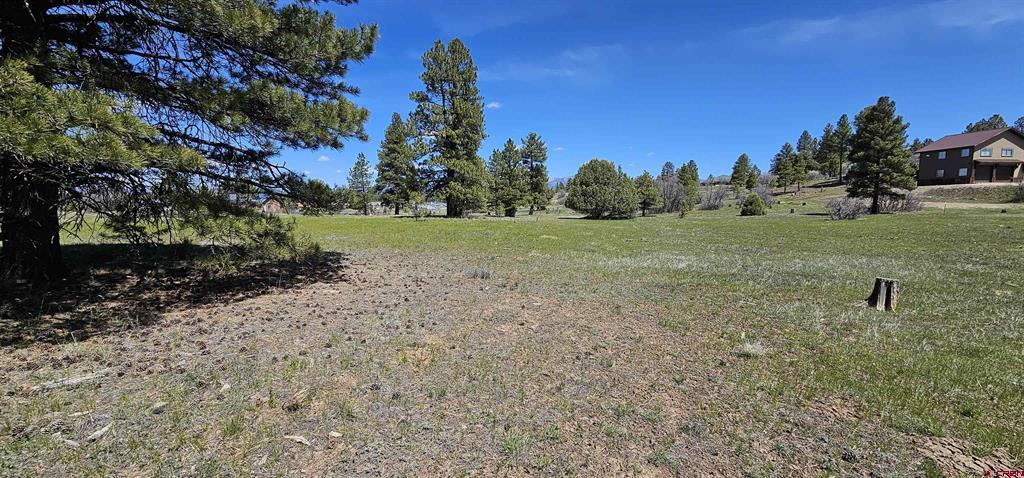 1570 Cool Pines Pagosa Springs CO 81147
