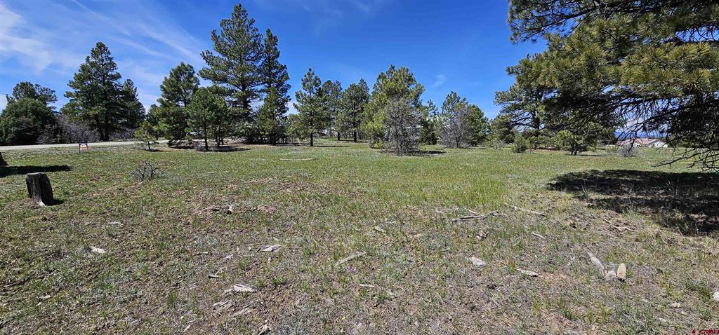 1570 Cool Pines Pagosa Springs CO 81147