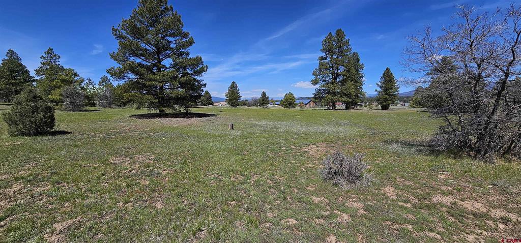 1570 Cool Pines Pagosa Springs CO 81147
