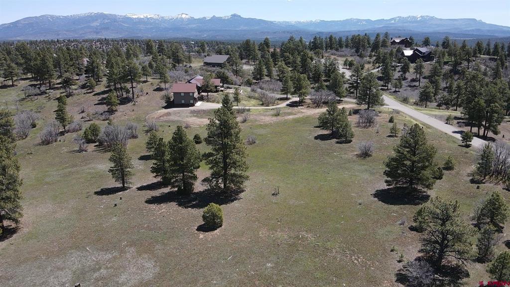 1570 Cool Pines Pagosa Springs CO 81147