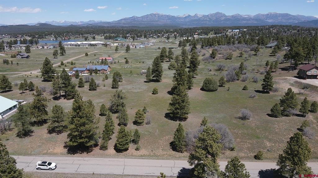 1570 Cool Pines Pagosa Springs CO 81147