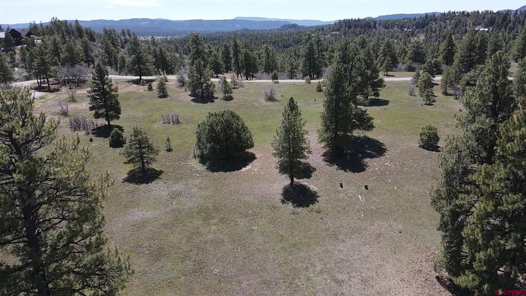 1570 Cool Pines Pagosa Springs CO 81147