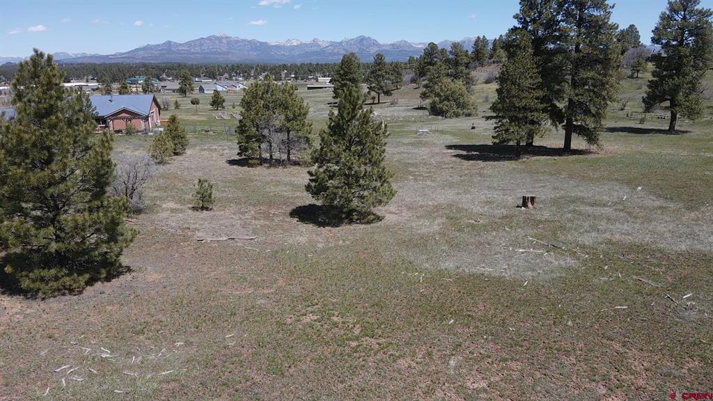 1570 Cool Pines Pagosa Springs CO 81147
