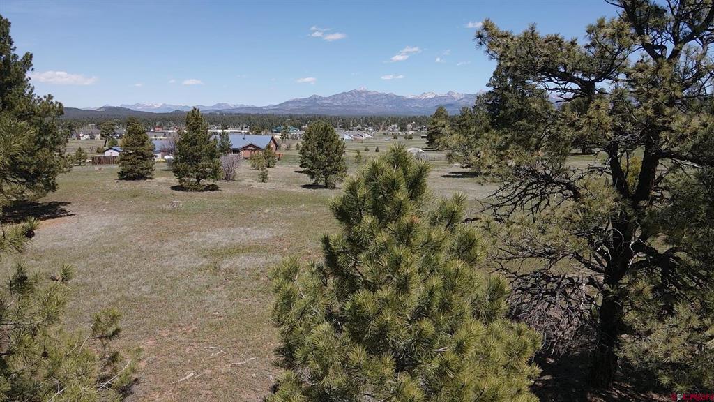 1570 Cool Pines Pagosa Springs CO 81147