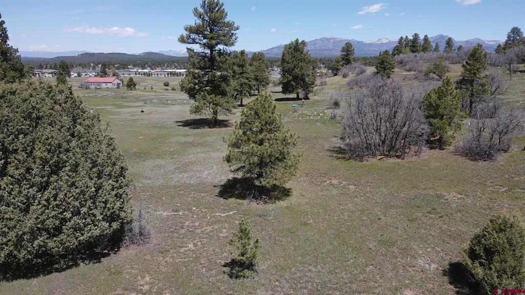 1570 Cool Pines Pagosa Springs CO 81147