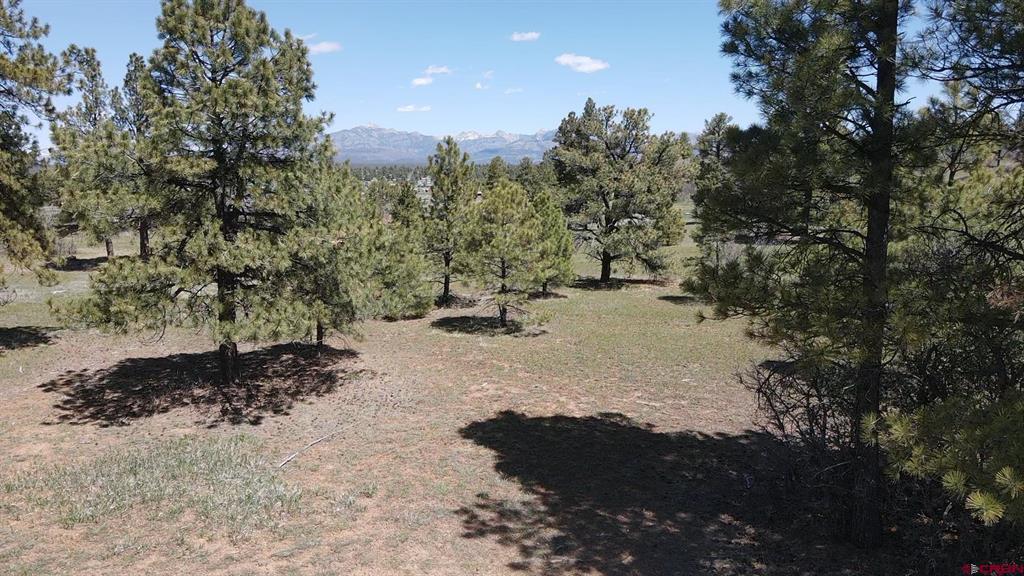 1570 Cool Pines Pagosa Springs CO 81147