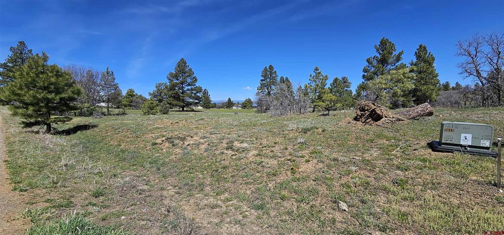 1570 Cool Pines Pagosa Springs CO 81147