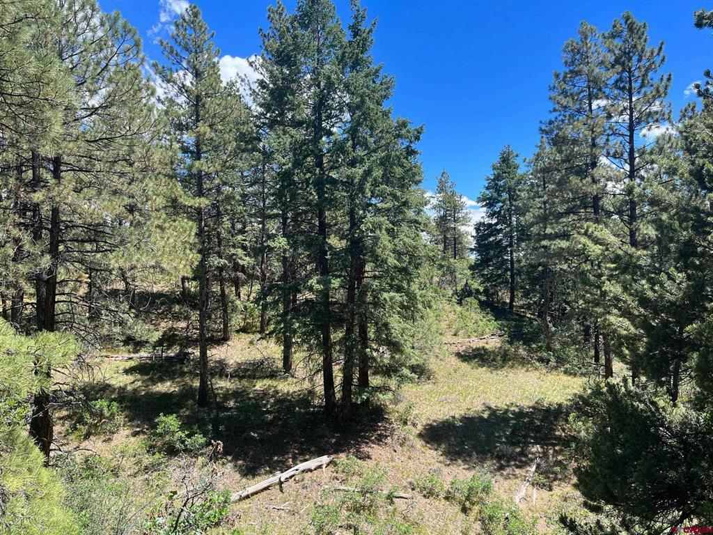 853 Ranchland Drive Pagosa Springs CO 81147