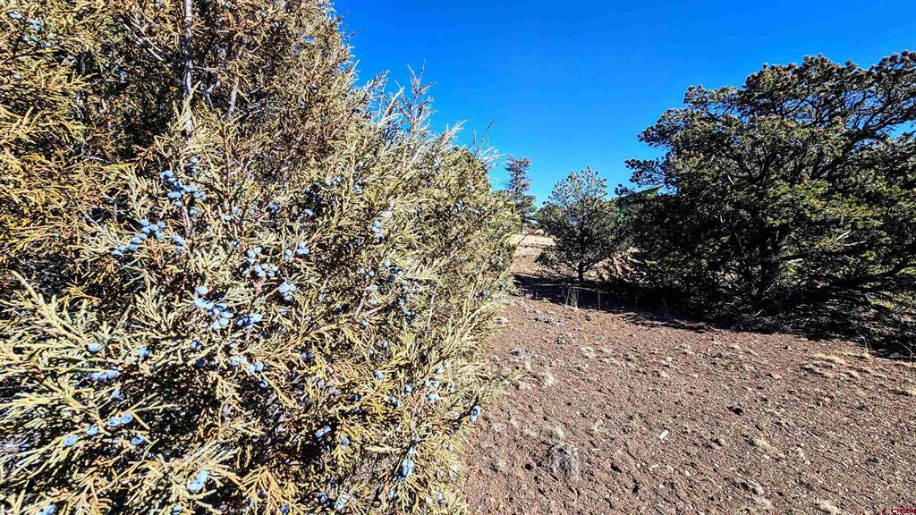 180 Silver Thread Circle South Fork CO 81154