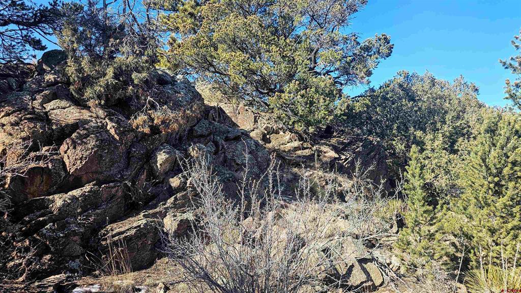 180 Silver Thread Circle South Fork CO 81154