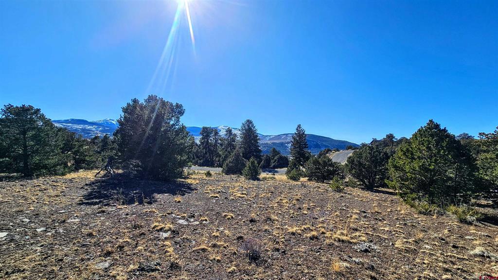 180 Silver Thread Circle South Fork CO 81154