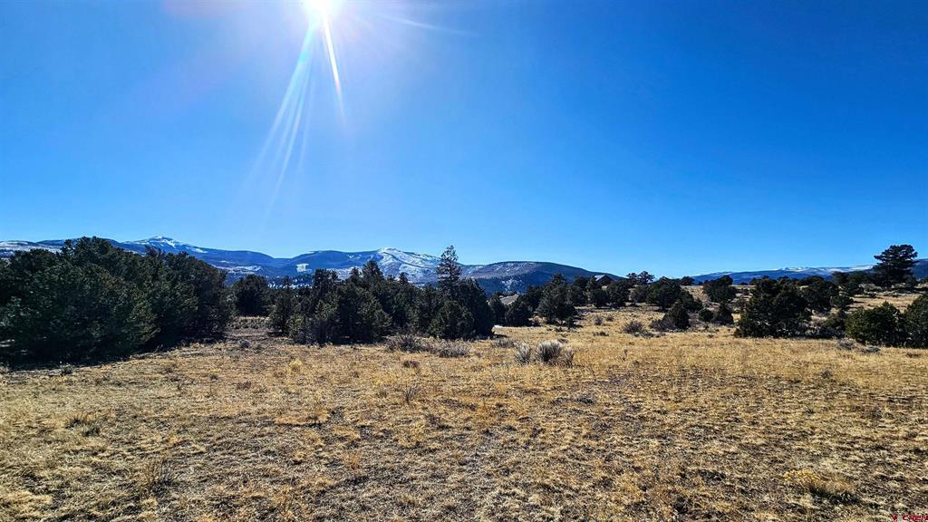 180 Silver Thread Circle South Fork CO 81154