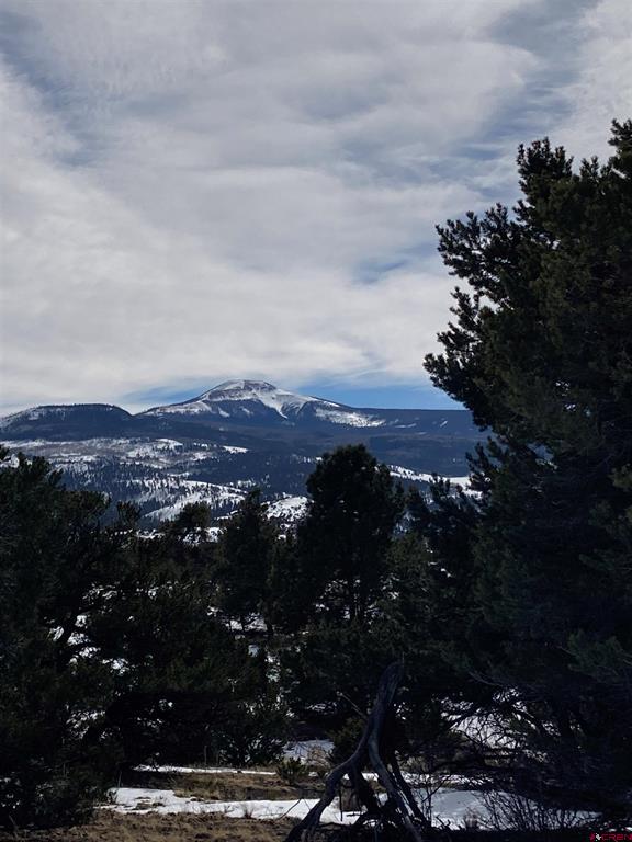 180 Silver Thread Circle South Fork CO 81154