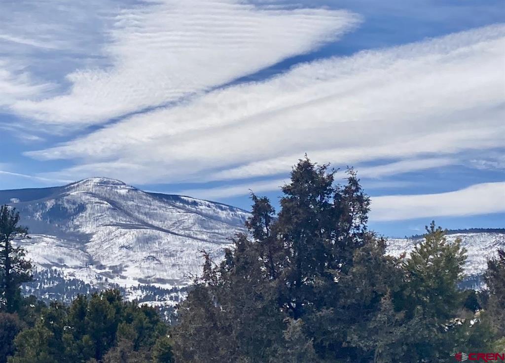 180 Silver Thread Circle South Fork CO 81154