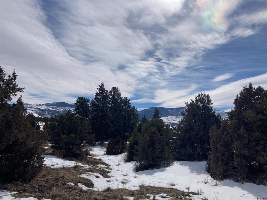 180 Silver Thread Circle South Fork CO 81154