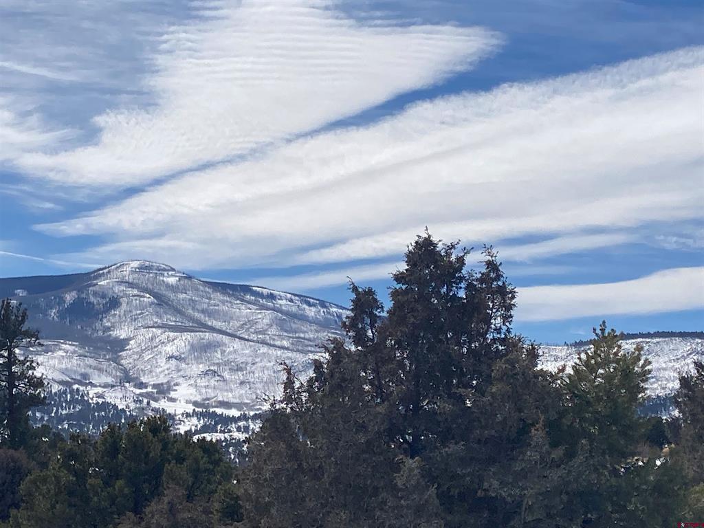 180 Silver Thread Circle South Fork CO 81154