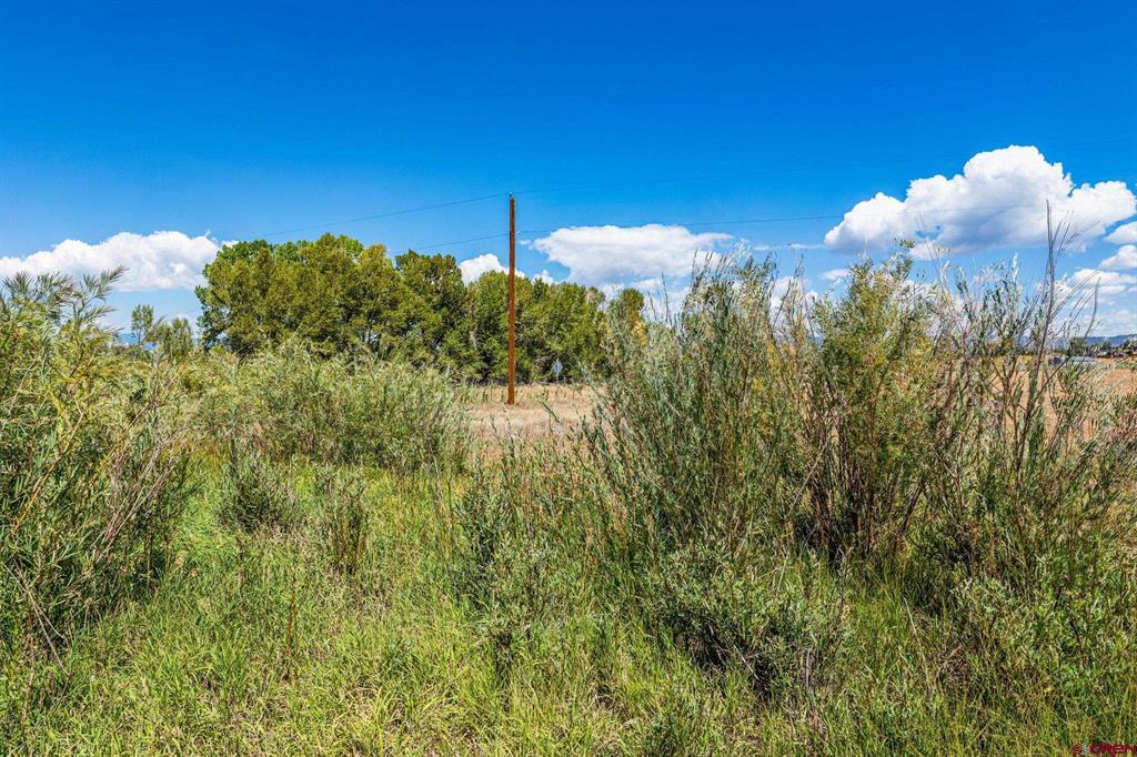 86 County Road 225a Durango CO 81301