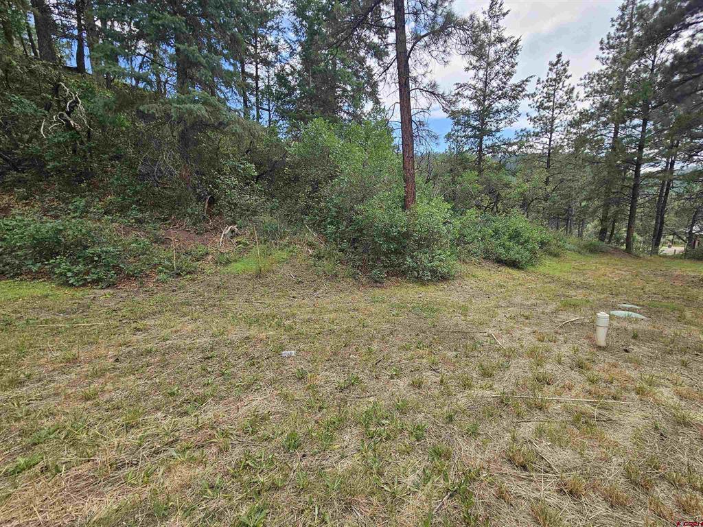 89 Joy Court Pagosa Springs CO 81147