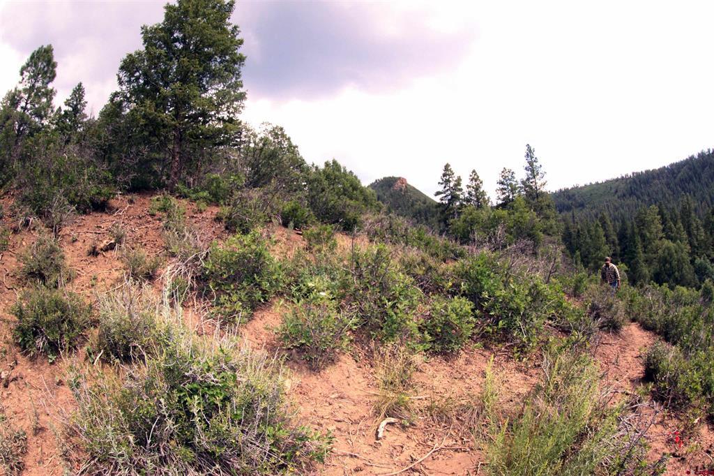 89 Joy Court Pagosa Springs CO 81147