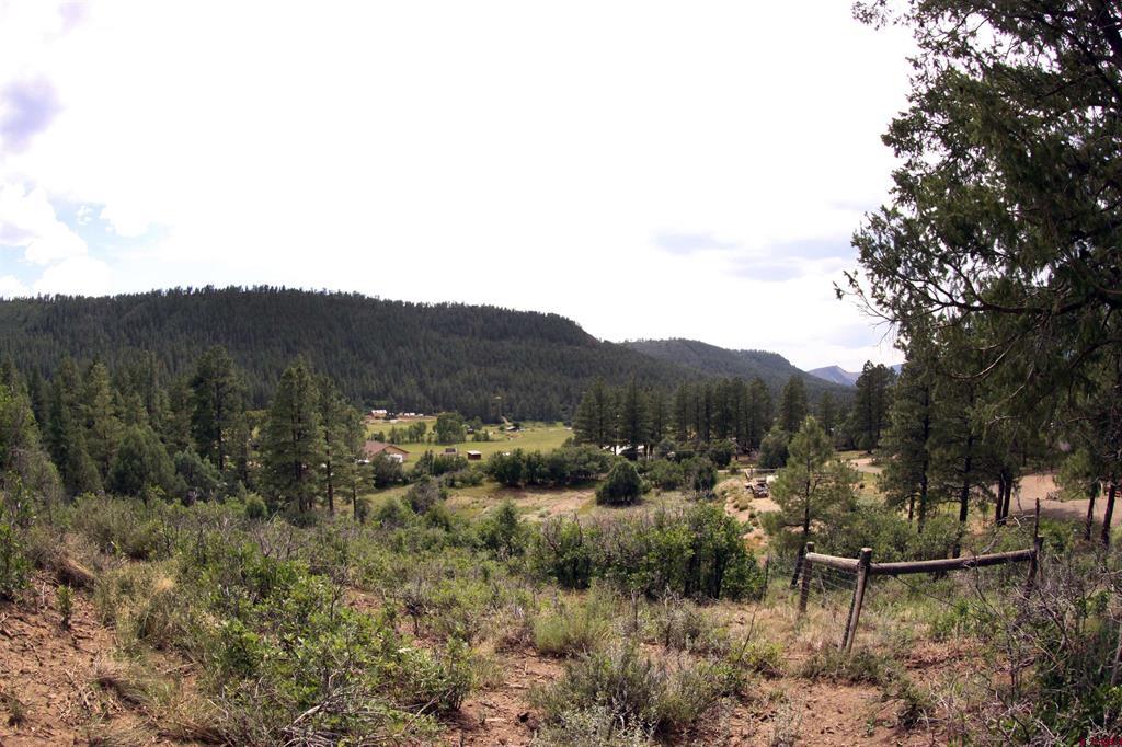 89 Joy Court Pagosa Springs CO 81147