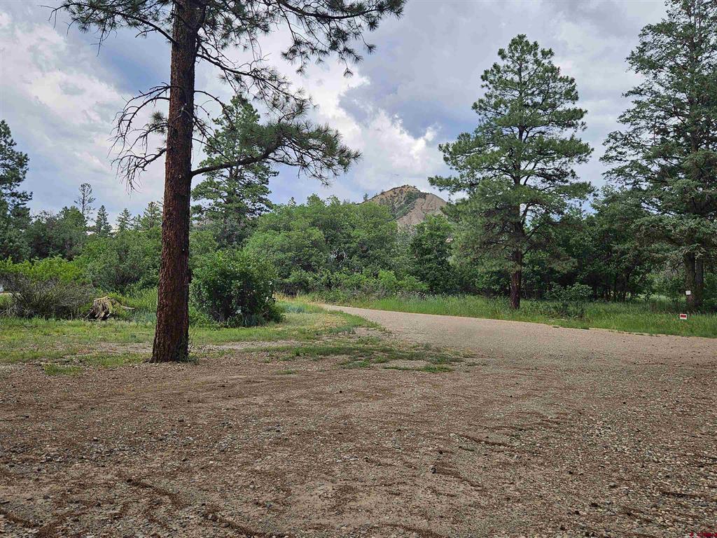 89 Joy Court Pagosa Springs CO 81147