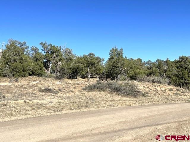 Tbd Road P Cortez CO 81321