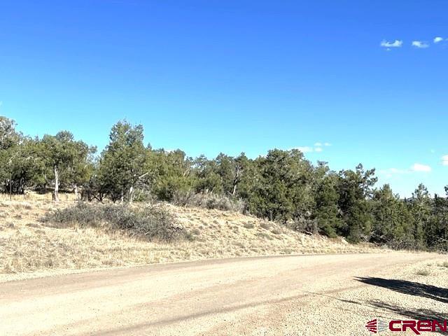 Tbd Road P Cortez CO 81321