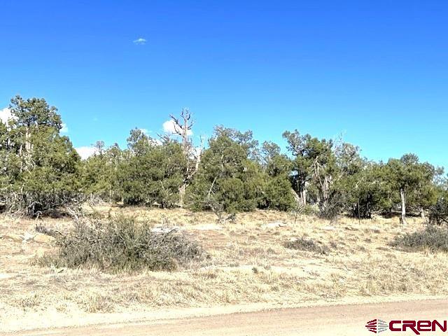 Tbd Road P Cortez CO 81321