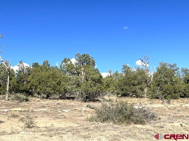 Tbd Road P Cortez CO 81321