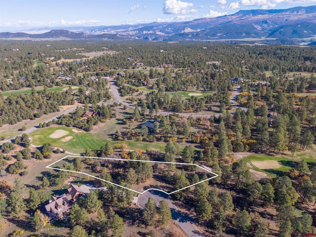274 Puma Lane Ridgway CO 81432