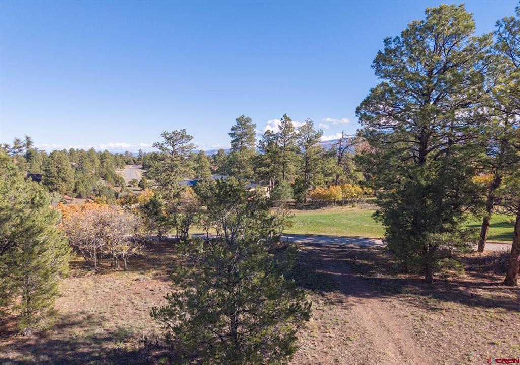 274 Puma Lane Ridgway CO 81432
