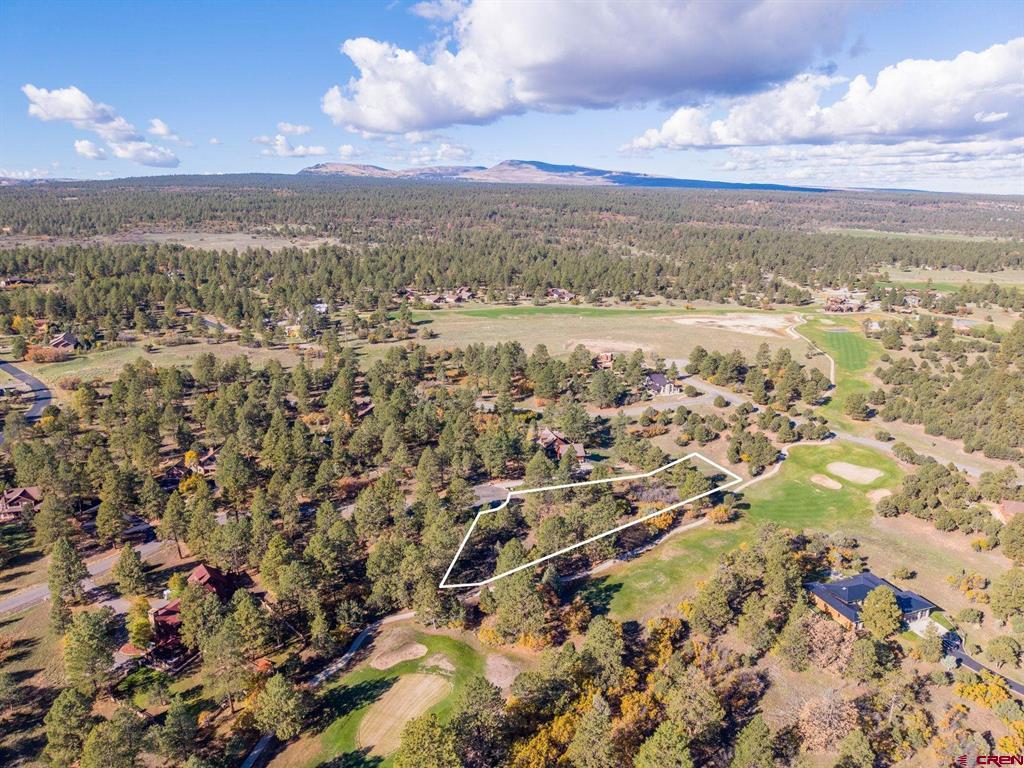 274 Puma Lane Ridgway CO 81432