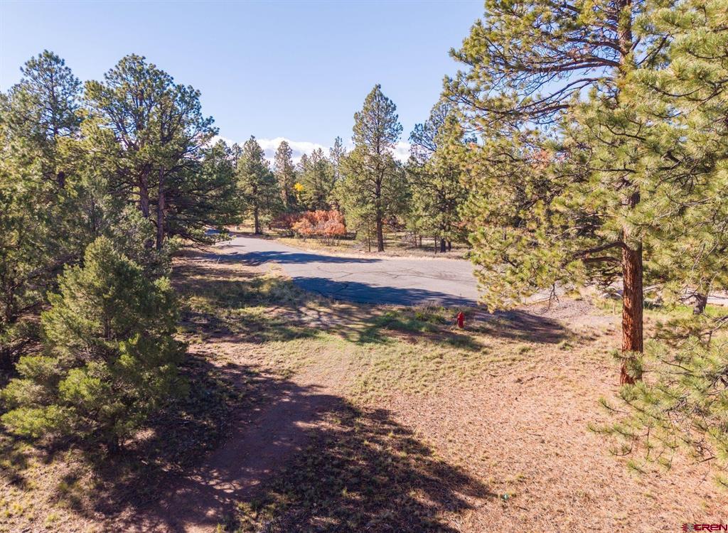 274 Puma Lane Ridgway CO 81432