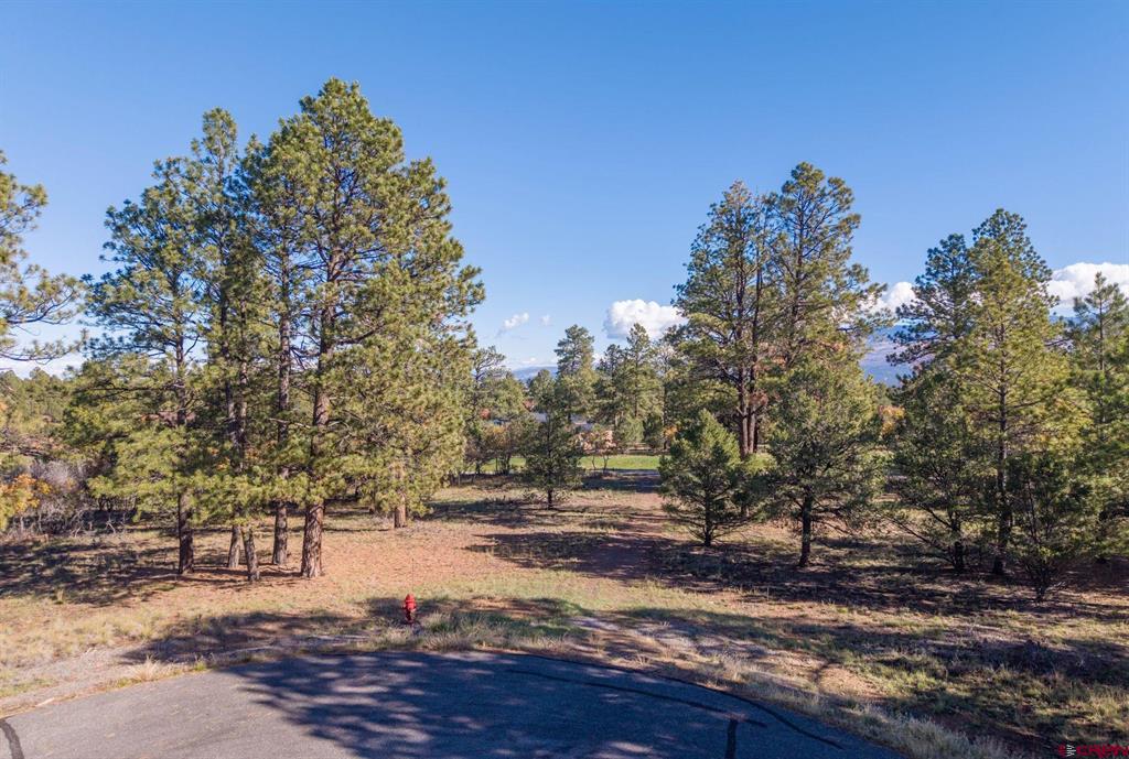 274 Puma Lane Ridgway CO 81432