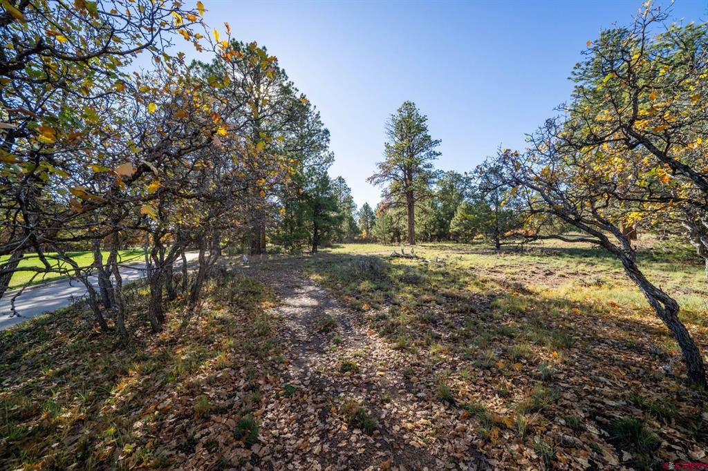 274 Puma Lane Ridgway CO 81432