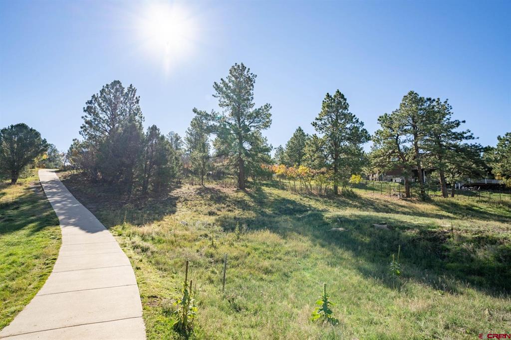 274 Puma Lane Ridgway CO 81432