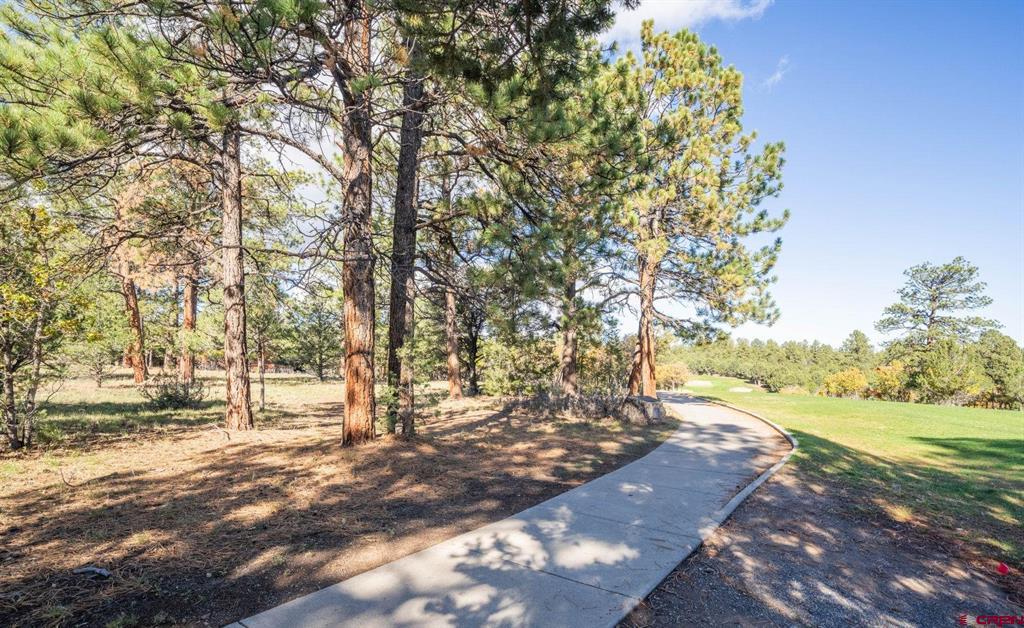 274 Puma Lane Ridgway CO 81432