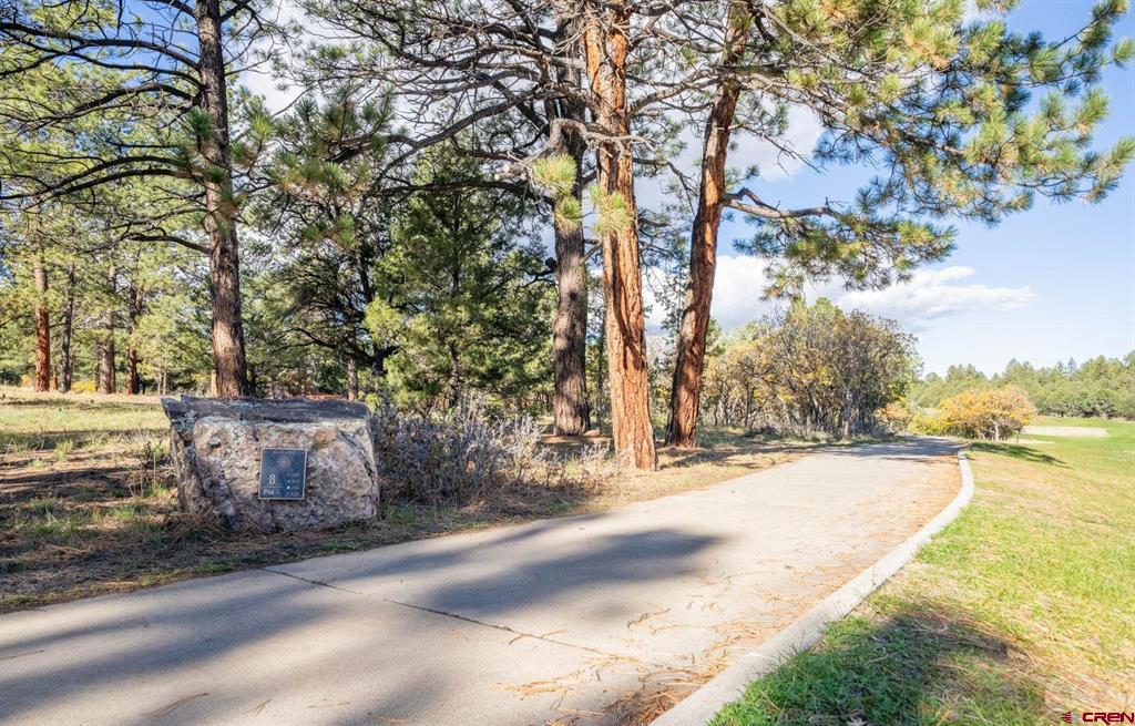 274 Puma Lane Ridgway CO 81432
